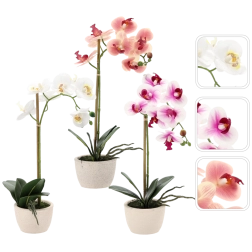 Dirbtinė orchidėja vazone, 3 spalvų mišinys, 43 cm