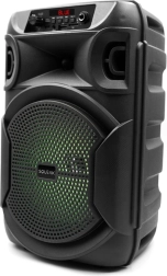 Bluetooth kolonėlė Squeak PulseTower su karaoke, 1000 W