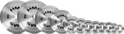 Plieninis olimpinis diskas HMS 0,25 kg