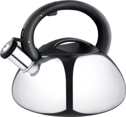 High-Quality Stainless Steel Kettle Argent