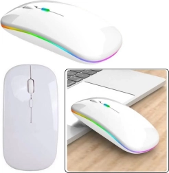 Bela belaidė ergonominė pelė
