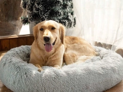 Pliušinis guolis katėms ir mažiems šunims 50 cm – Pilka