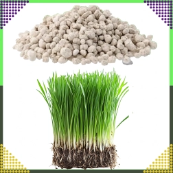 Daugiakomponentės vejos trąšos NPK 20-8-10 granuliuotos 10 kg