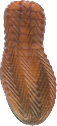 Darbo apsauginiai batai Soft S1P