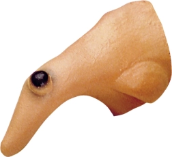 Raganos nosis su karpa