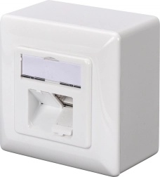 CAT 6A sieninis tinklo lizdas 2x RJ45, ekranuotas