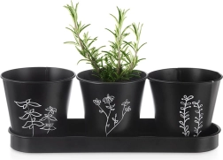 Blackline Herb Planter Set with Saucer, 4 Pieces