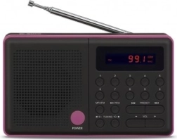 Radijas Pliszka USB FM juodas