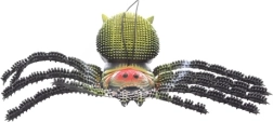 Cypiantis voras su kilpele pakabinimui
