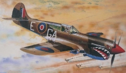 Lėktuvo modelis Curtiss P-40K Kittyhawk Mk. III 1/72