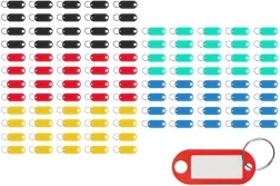 Spalvotų raktų identifikatorių rinkinys – 100 vnt.