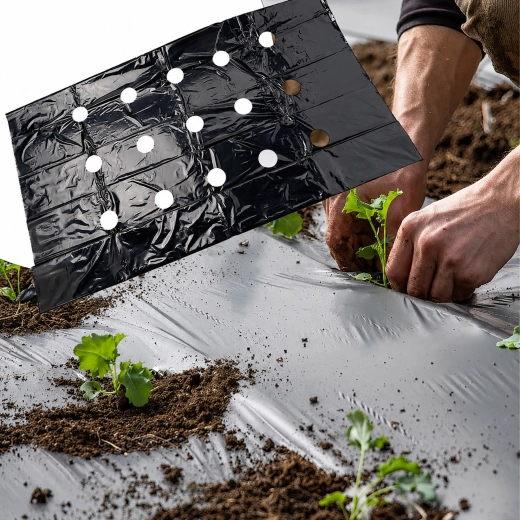 Pre-prepared planting holes