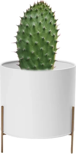 White metal plant pot cover with gold stand 17 cm