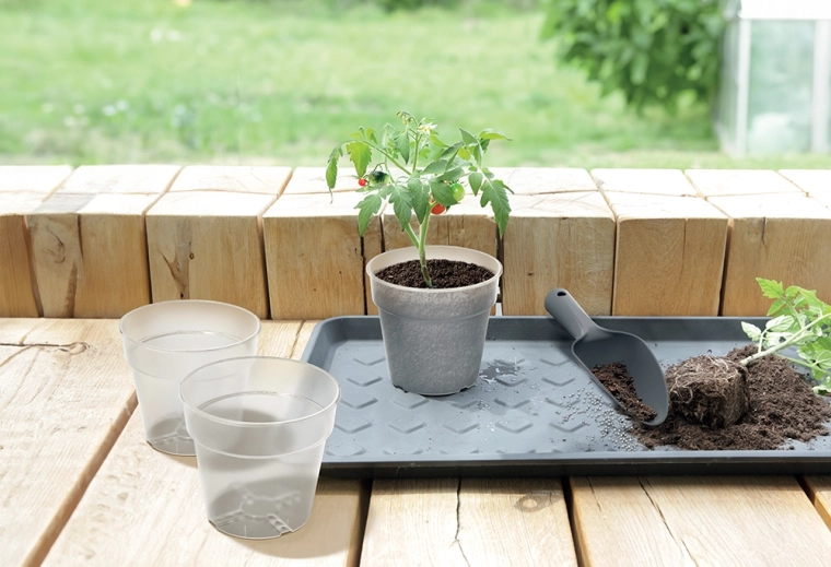 Idealiai tinka prieskoninėms žolelėms, sukulentams ir gėlėms
