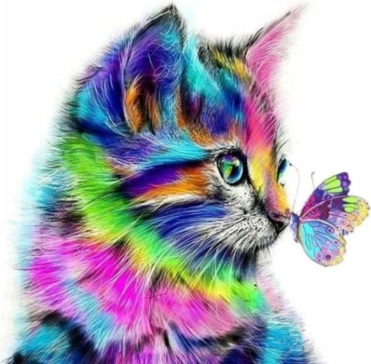 Paint by Numbers Canvas on Frame 40 × 50 cm Kitten with a Butterfly
