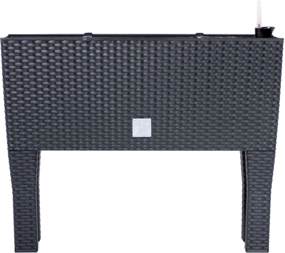 Aukštas savaiminio laistymo lovelis Rato Case High 80 cm, antracito spalvos