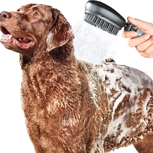 2 viename dušas ir šepetys greitam ir švelniam plovimui