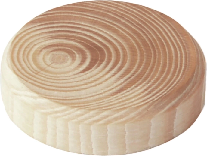 Branch wood plugs 25 × 7 mm, 20 pcs