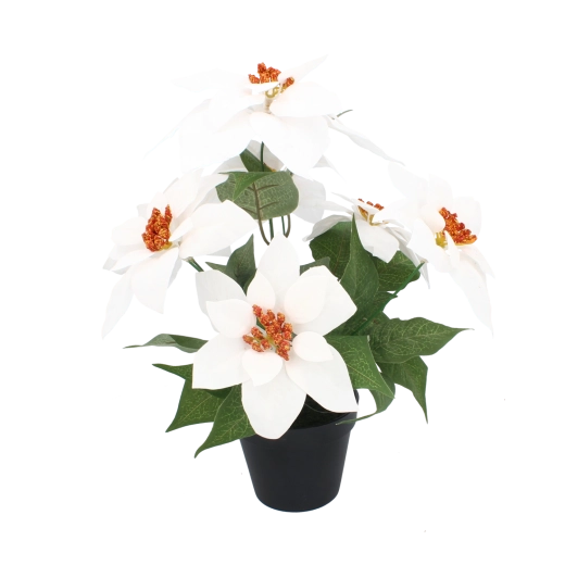 Sintetinė kalėdinė žvaigždė juodame vazone 35 cm, balta