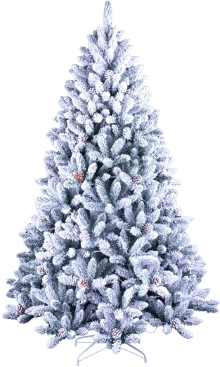 Snow-covered look and rich branching