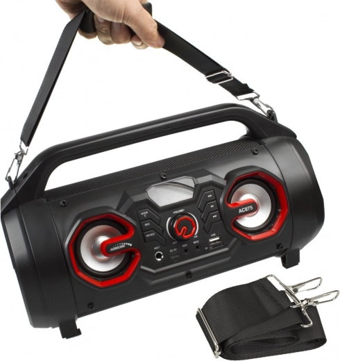 Karaoke with recording and 2 microphone inputs