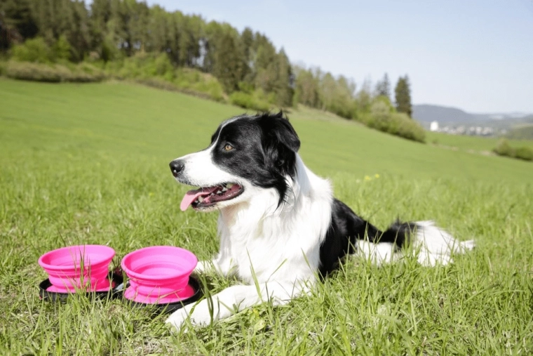 Collapsible silicone bowls 2×350 ml