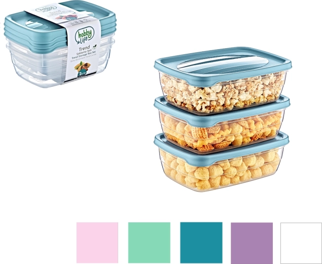 3 stačiakampių dėžučių rinkinys Trend Box 0,3 l
