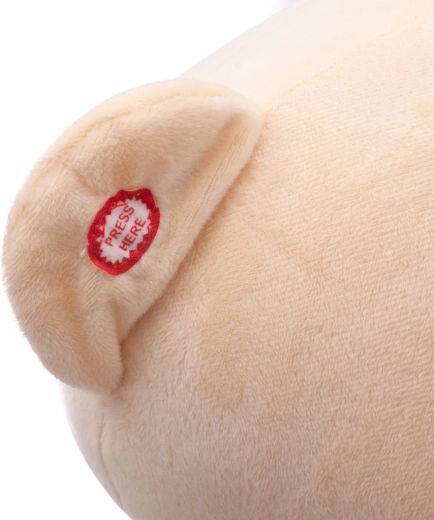 Interaktyvi ausytė su melodija