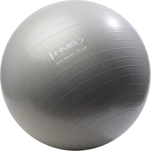 Gimnastinis kamuolys HMS 55 cm pilkas