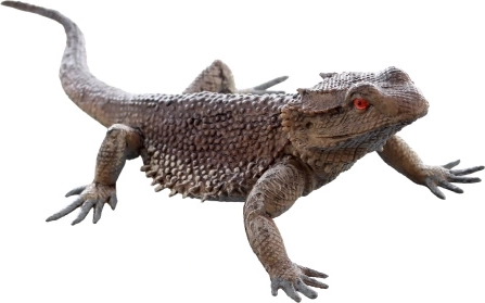Plastic Lizard – realistic figurine for children