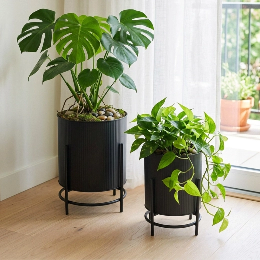 Grooved design and stable raised plant display