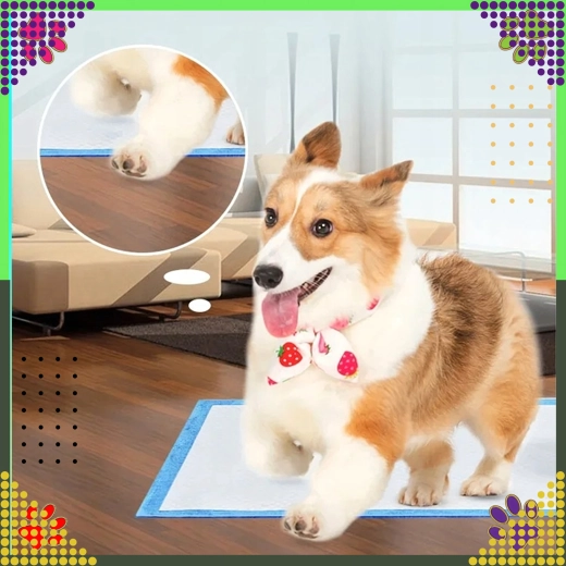 Patogu šuniukams ir vyresniems šunims