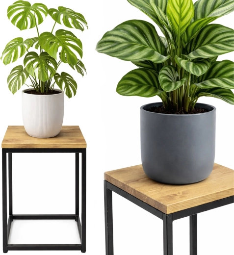 Shelf in craft decor for plants and decorations