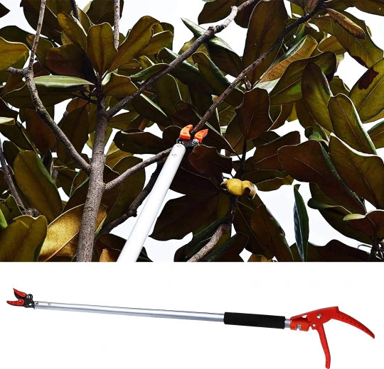 Lengvas pjovimas aukštyje be kopėčių