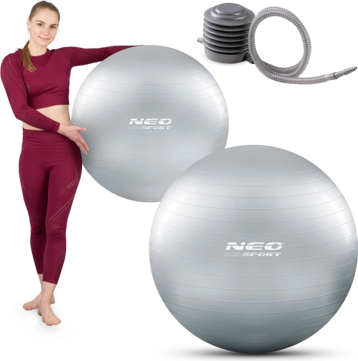 Gimnastikos kamuolys 75 cm su anti-burst sistema, sidabrinis