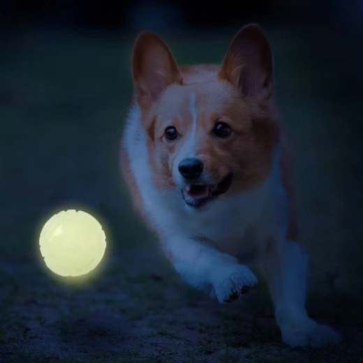 Glowing fun even after sunset