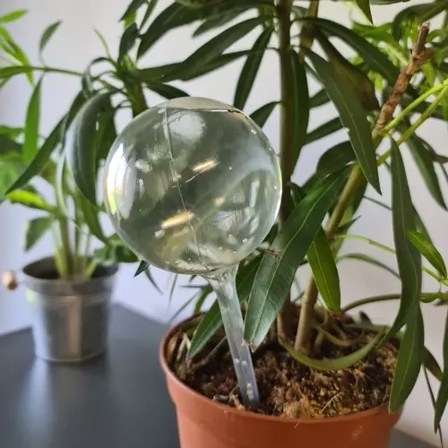 Versatile use for home and garden