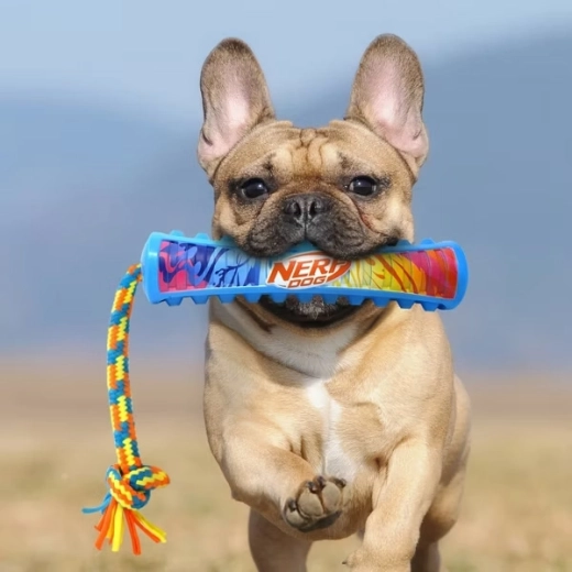 Ideal for fetch and outdoor fun