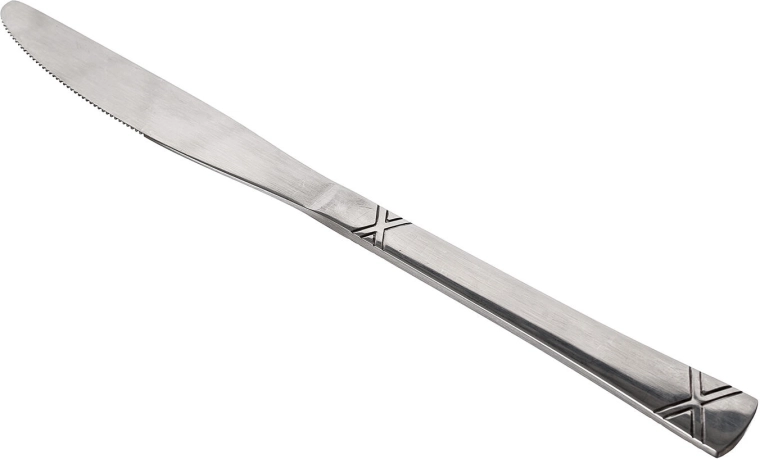 Stainless steel table knife Destini 205 mm