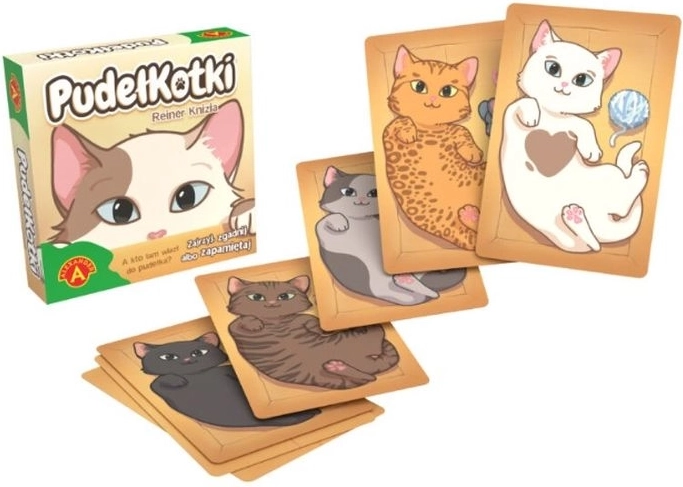 Box Cats – Travel Card Memory Game