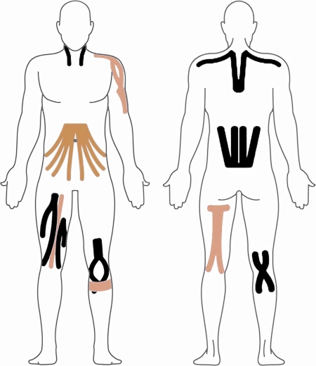 Universalus pritaikymas visam kūnui