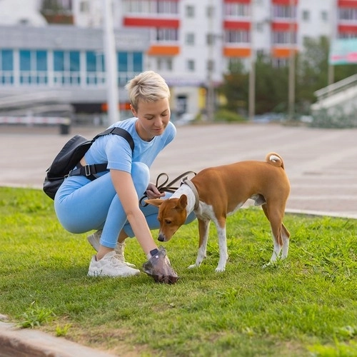 Pakuotėje esantys maišeliai ekskrementams