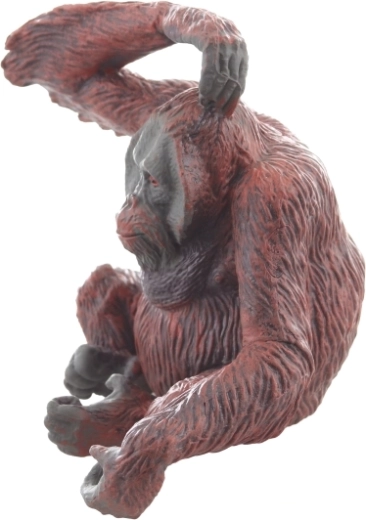 Stabili sėdėjimo poza ekspozicijai ir žaidimui