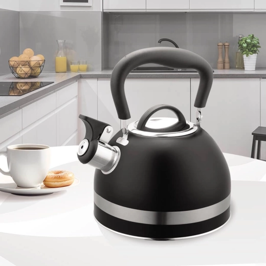 Whistling spout and easy filling