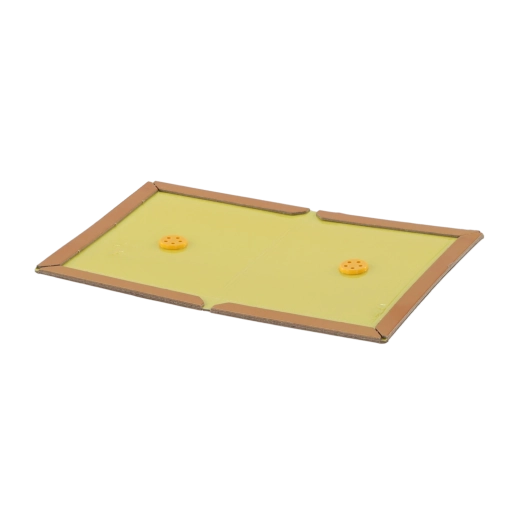 Universalus pastatymas patalpose