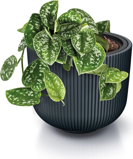 Practical insert liner