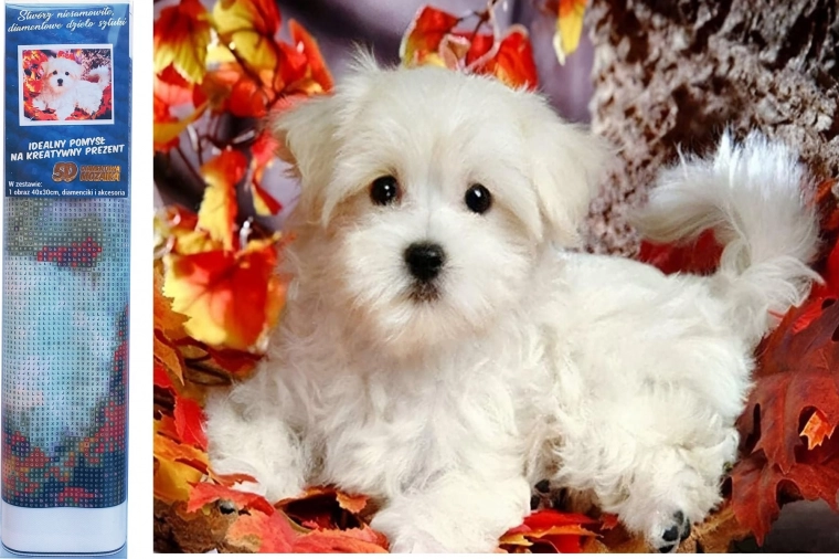 Diamond Painting – White Puppy 30 × 40 cm