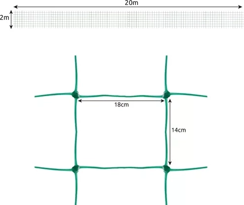 Didelis plotas 2 × 20 m vešliam augalų sluoksniui