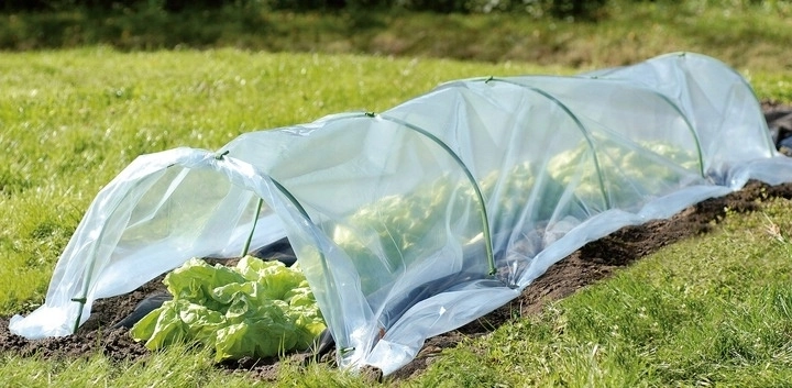Sukuria idealų mikroklimatą greitesniam augimui