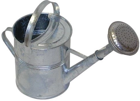 Galvanized garden watering can 5 l with rose